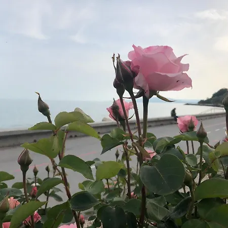 Sea View Balchik