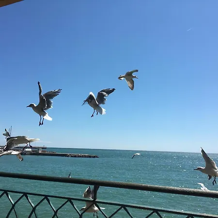 Apartmán Sea View *